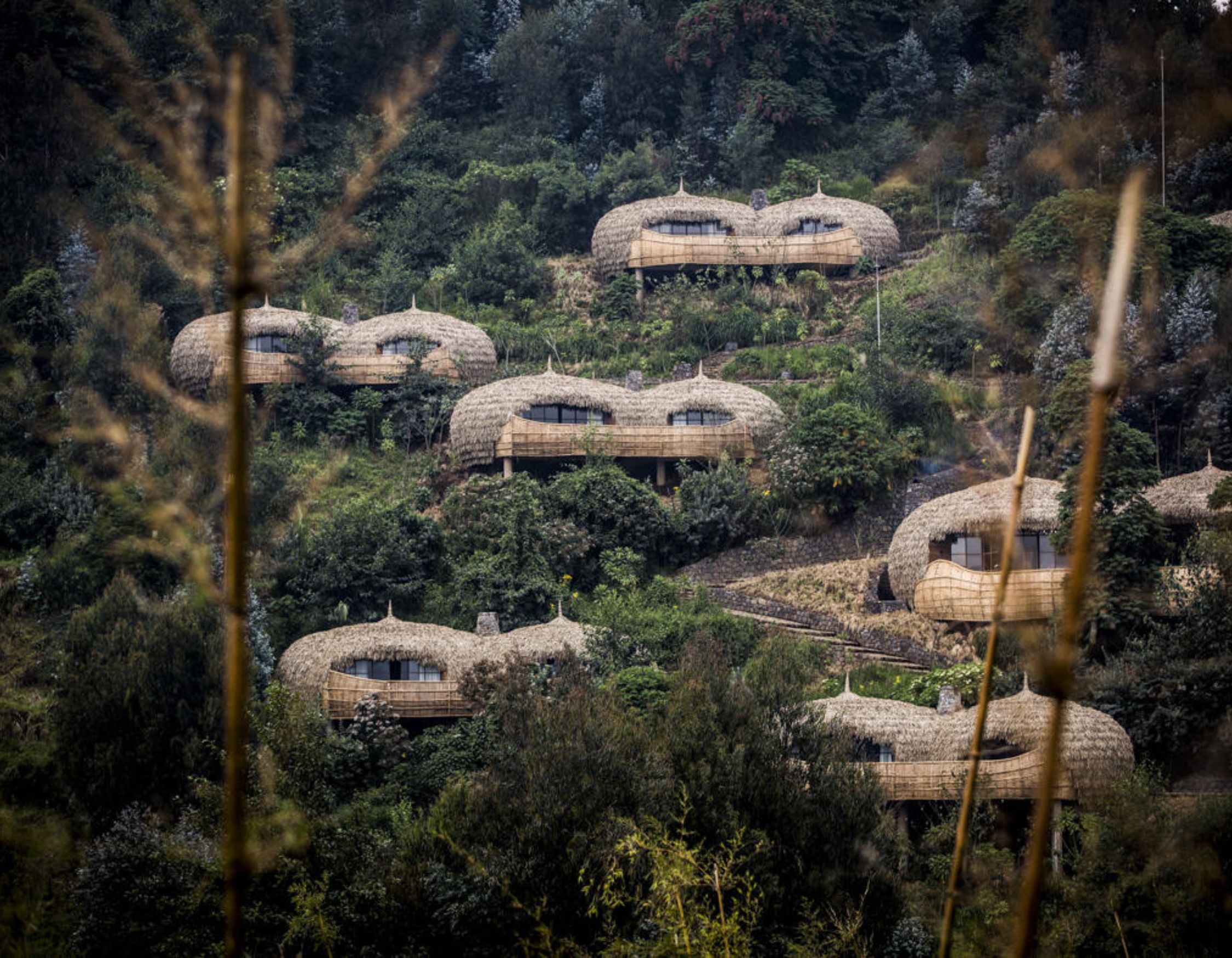 Rwanda Safaris