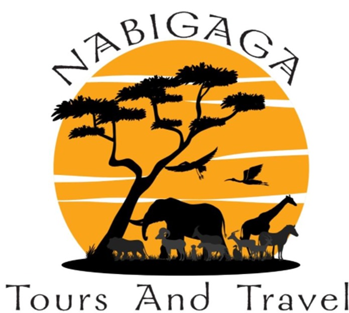 Nabigaga Tours and Travels