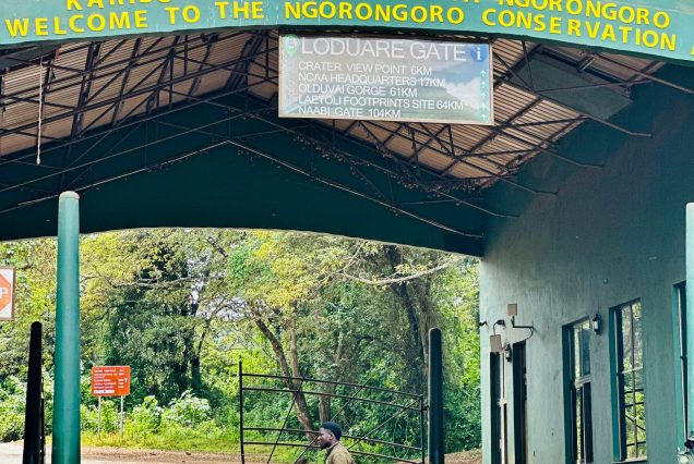 Ngorongoro National Park