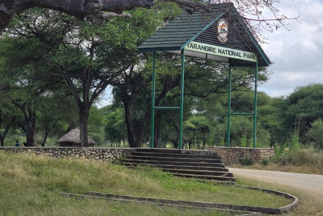 Tarangire National Park