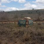 Tsavo National Park