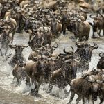 Serengeti National Park