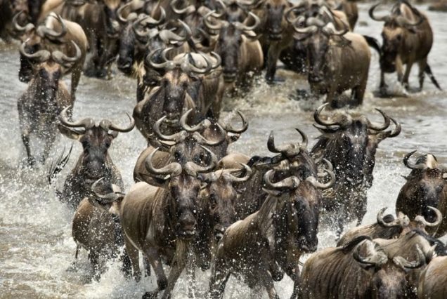 Serengeti National Park