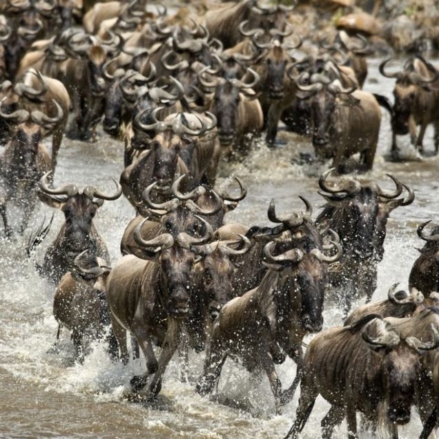 Serengeti National Park