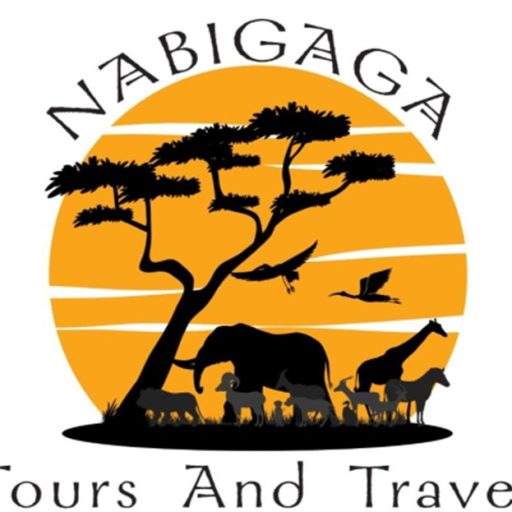 Nabigaga Tours and Travels
