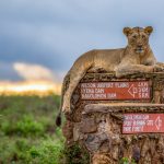 Nairobi National Park