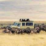 Best Africa Safari circuits