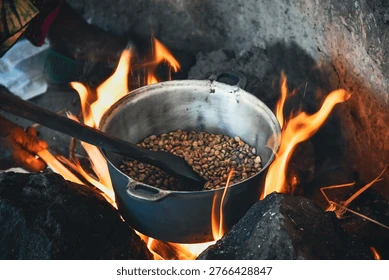 coffee tours