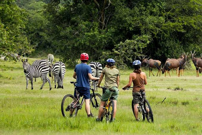 Uganda Culture and Adventure Safari