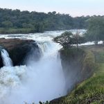 Murchison Falls National Park